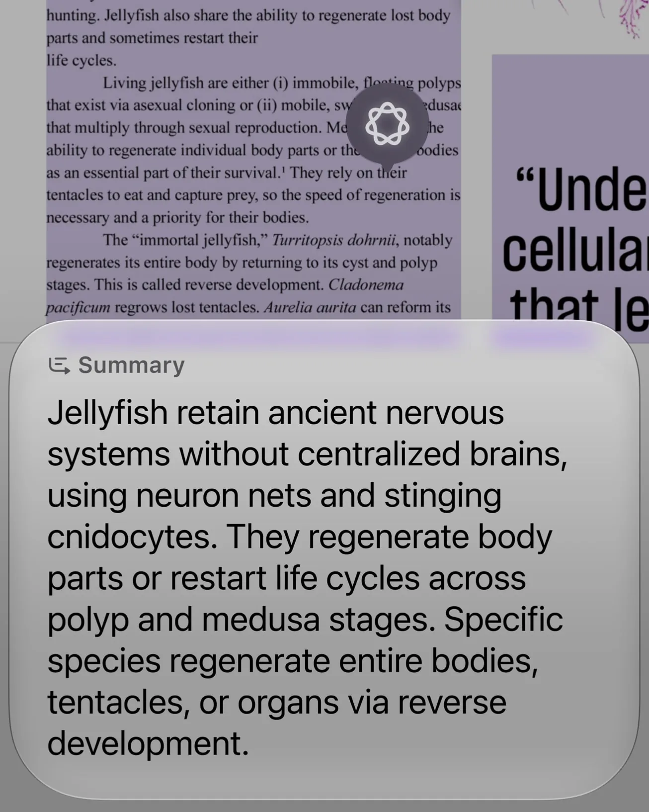 iOS 27 Siri AI summarizing an article on screen using onscreen awareness