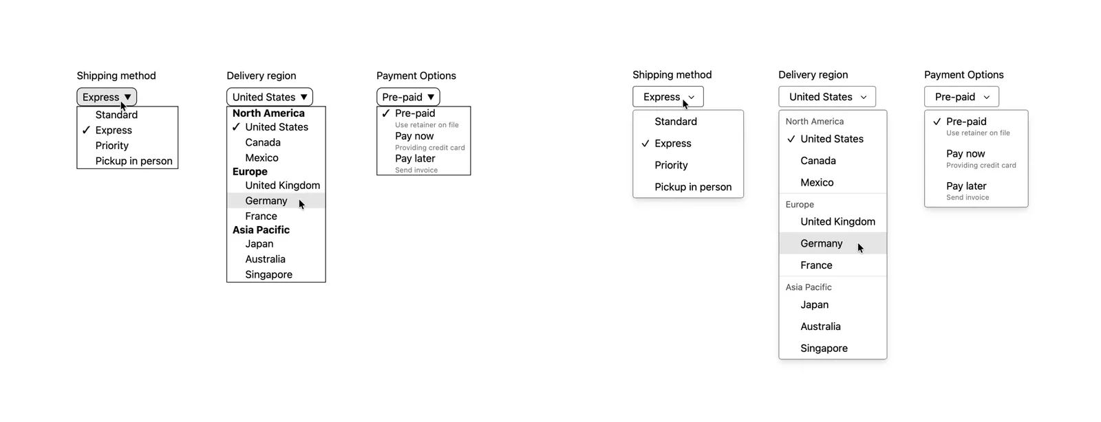 Safari 27 customizable select menus for shipping method, delivery region and payment options before and after new styles
